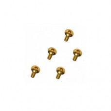 3racing (#M4WD-19/GO) M2 x 6 Scoket Button Screw (gold)